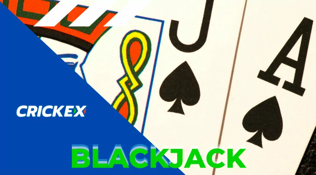 Crickex Blackjack Rules