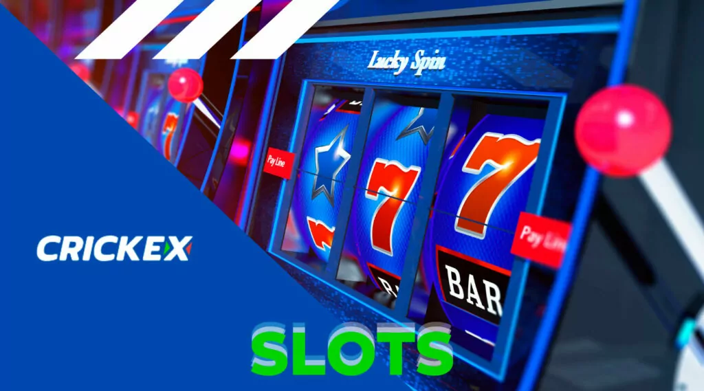 More than 2,000 slot machines are presented in the Slot section of the Crickex website